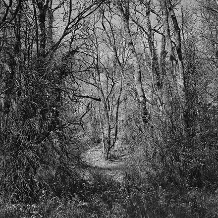 Par les chemins