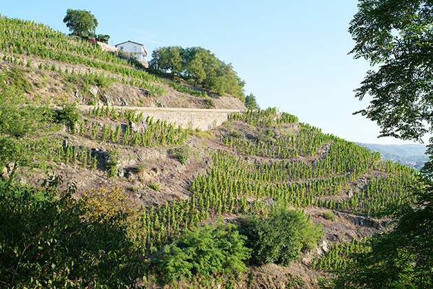 Renouvellement de l'OPP du Parc du Pilat