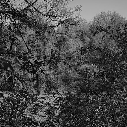 Par les chemins