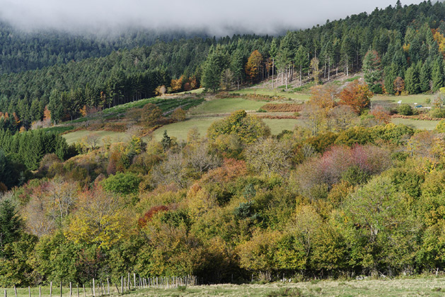 Renouvellement de l'OPP du Parc du Pilat