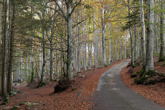 Renouvellement de l'OPP du Parc du Pilat