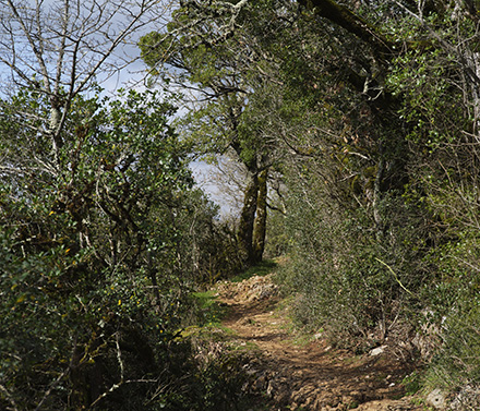 Par les chemins