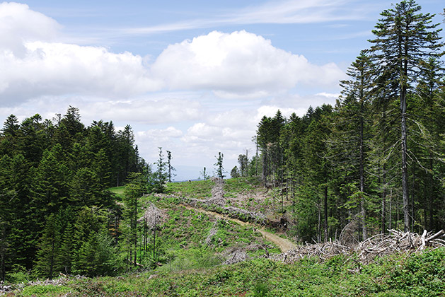 Renouvellement de l'OPP du Parc du Pilat