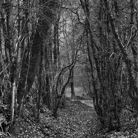 Par les chemins