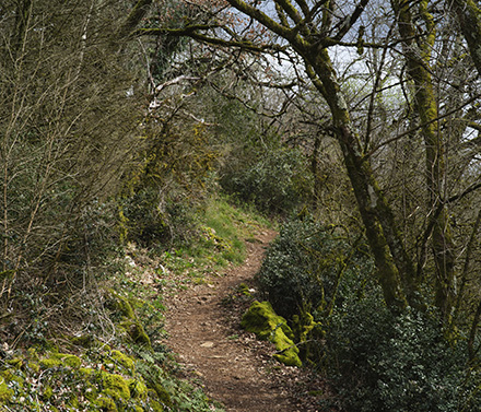 Par les chemins