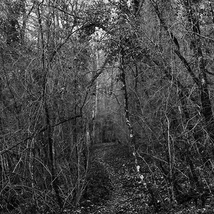 Par les chemins