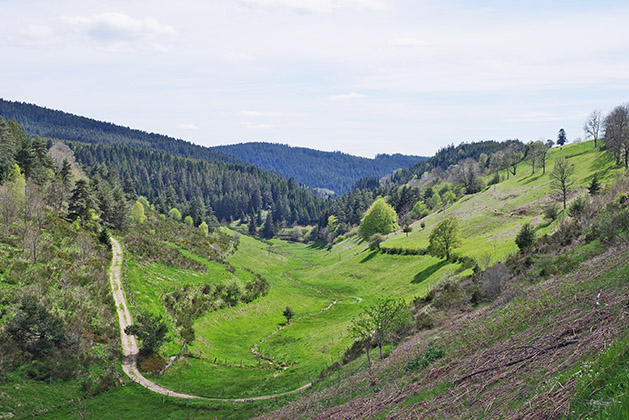 Renouvellement de l'OPP du Parc du Pilat