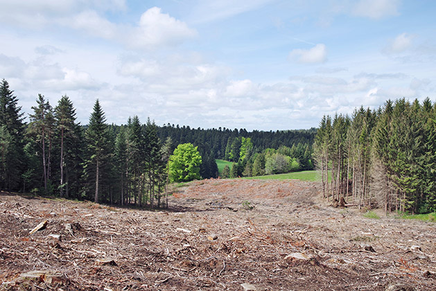 Renouvellement de l'OPP du Parc du Pilat