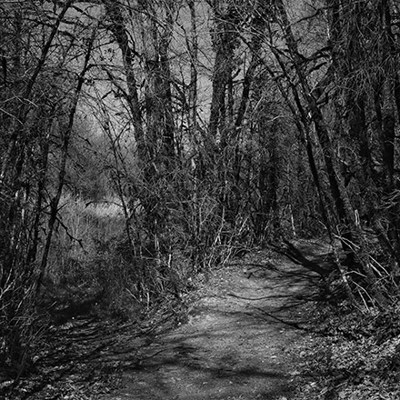 Par les chemins