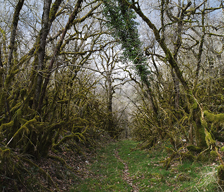 Par les chemins