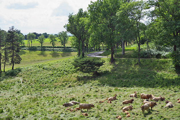 Renouvellement de l'OPP du Parc du Pilat