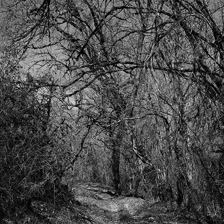 Par les chemins