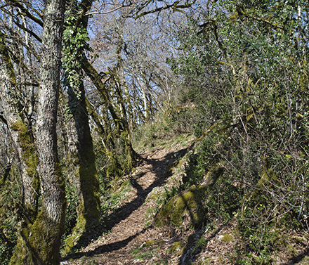 Par les chemins