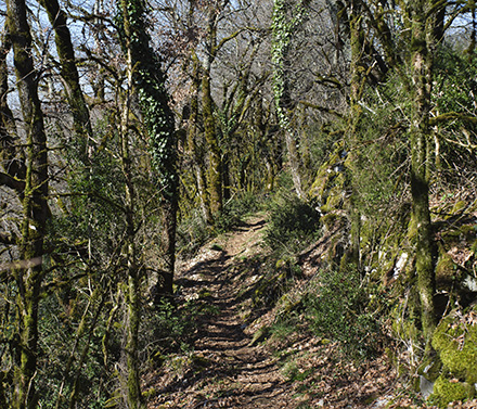 Par les chemins