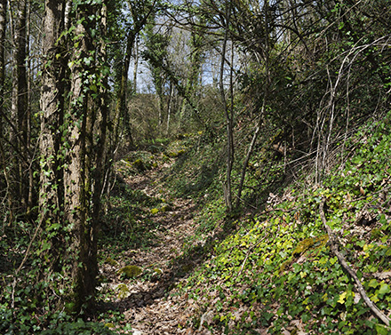 Par les chemins