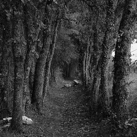 Par les chemins