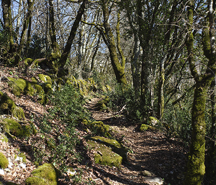 Par les chemins