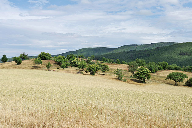 Renouvellement de l'OPP du Parc du Pilat