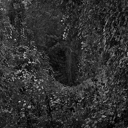 Par les chemins