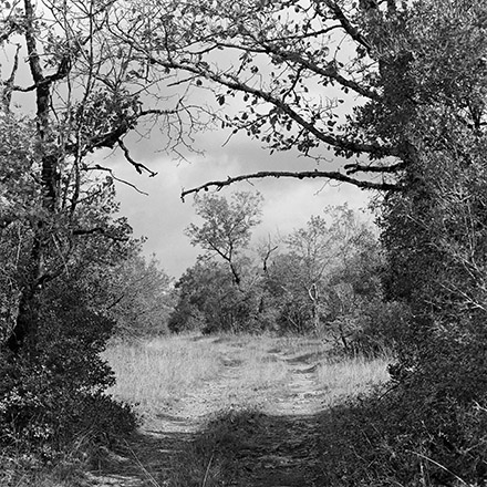 Par les chemins