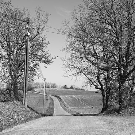 Arbres des routes